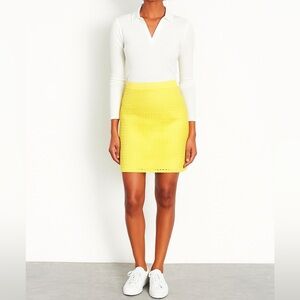 NWT LOFT Vibrant Citron Cotton Eyelet Cutout Lined A-Line Mini Skirt - 4 Petite
